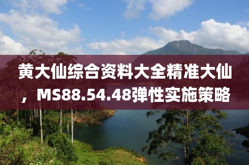 黃大仙綜合資料大全精準(zhǔn)大仙，MS88.54.48彈性實(shí)施策略