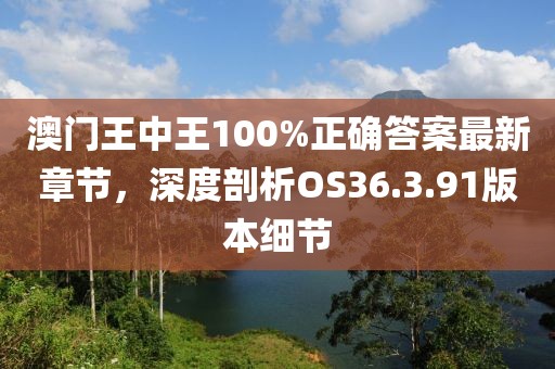 澳門王中王100%正確答案最新章節(jié)，深度剖析OS36.3.91版本細(xì)節(jié)