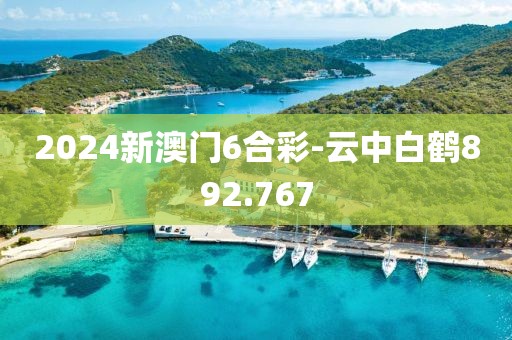 2024新澳門6合彩-云中白鶴892.767