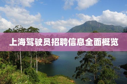 上海駕駛員招聘信息全面概覽