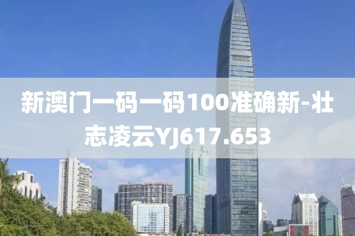 新澳門一碼一碼100準確新-壯志凌云YJ617.653