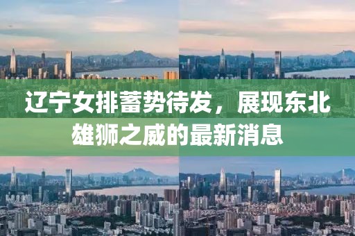 遼寧女排蓄勢(shì)待發(fā)，展現(xiàn)東北雄獅之威的最新消息