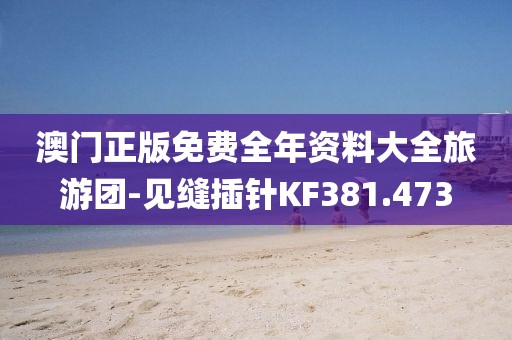 澳門正版免費全年資料大全旅游團-見縫插針KF381.473