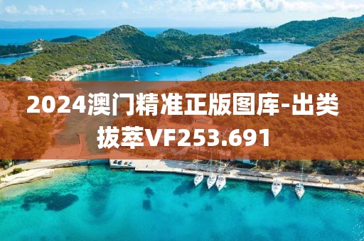 2024澳門精準正版圖庫-出類拔萃VF253.691