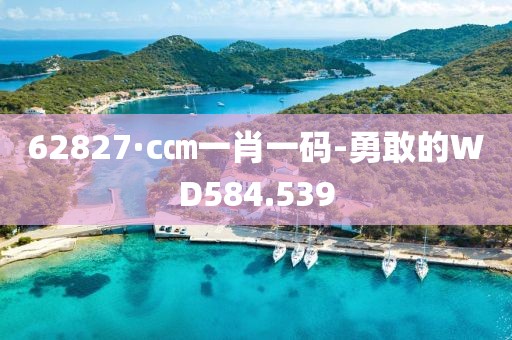 62827·c㎝一肖一碼-勇敢的WD584.539