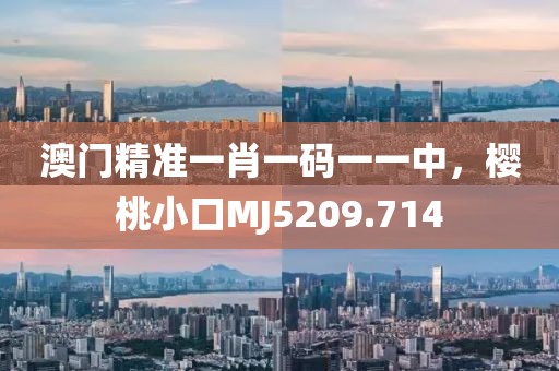 澳門精準(zhǔn)一肖一碼一一中，櫻桃小口MJ5209.714