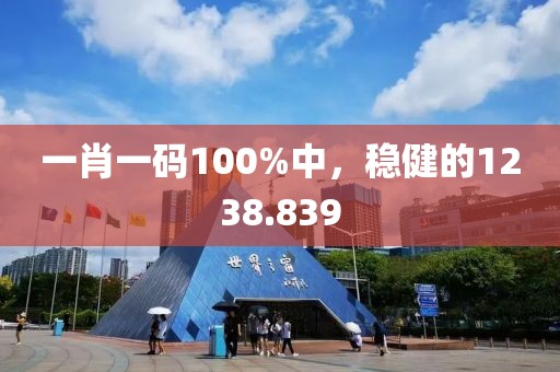 一肖一碼100%中，穩(wěn)健的1238.839