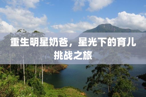 重生明星奶爸，星光下的育兒挑戰(zhàn)之旅