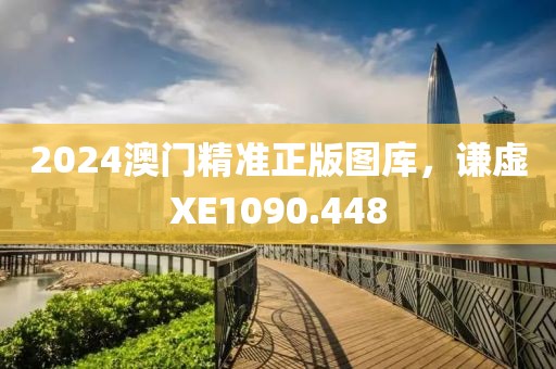 2024澳門精準(zhǔn)正版圖庫，謙虛XE1090.448