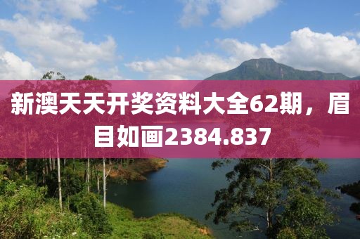 新澳天天開獎資料大全62期，眉目如畫2384.837