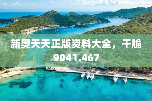 新奧天天正版資料大全，干脆9041.467
