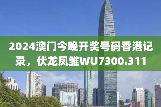 2024澳門今晚開獎號碼香港記錄，伏龍鳳雛WU7300.311