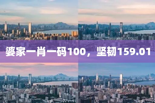 婆家一肖一碼100，堅韌159.01