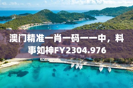 澳門精準一肖一碼一一中，料事如神FY2304.976