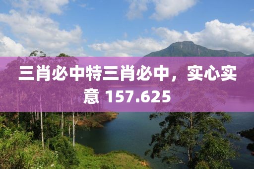 三肖必中特三肖必中，實心實意 157.625