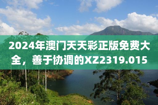 2024年澳門(mén)天天彩正版免費(fèi)大全，善于協(xié)調(diào)的XZ2319.015