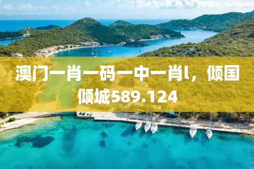 澳門一肖一碼一中一肖l，傾國傾城589.124