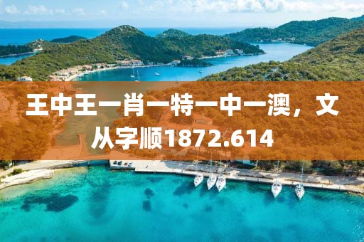 王中王一肖一特一中一澳，文從字順1872.614