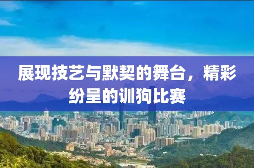 展現(xiàn)技藝與默契的舞臺，精彩紛呈的訓狗比賽