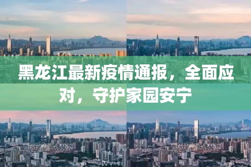 黑龍江最新疫情通報(bào)，全面應(yīng)對，守護(hù)家園安寧