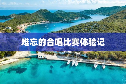 難忘的合唱比賽體驗(yàn)記