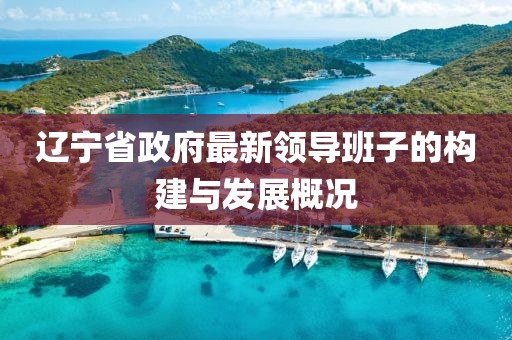 遼寧省政府最新領(lǐng)導(dǎo)班子的構(gòu)建與發(fā)展概況