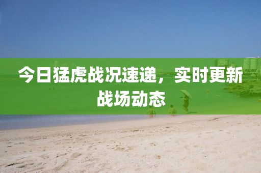 今日猛虎戰(zhàn)況速遞，實時更新戰(zhàn)場動態(tài)