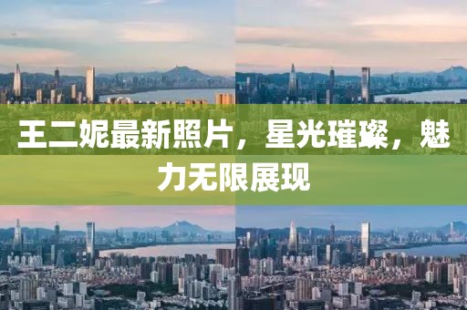 2024年12月