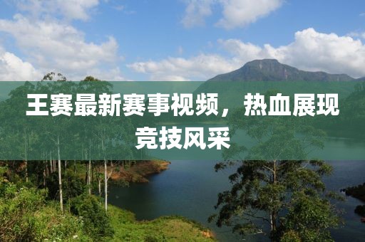 世界之巔 第24頁