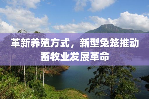 革新養(yǎng)殖方式，新型兔籠推動畜牧業(yè)發(fā)展革命