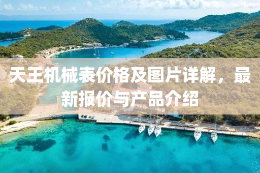天王機(jī)械表價(jià)格及圖片詳解，最新報(bào)價(jià)與產(chǎn)品介紹