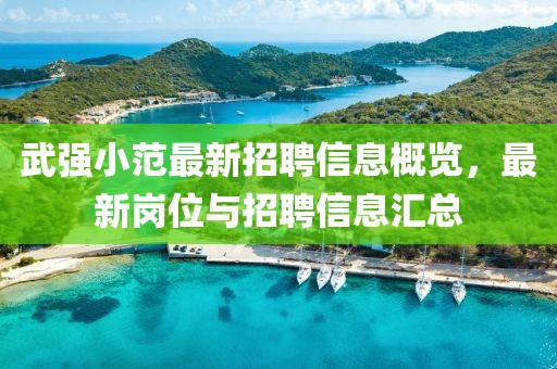 武強小范最新招聘信息概覽，最新崗位與招聘信息匯總