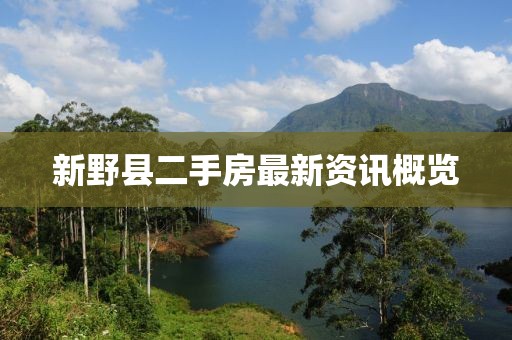 新野縣二手房最新資訊概覽