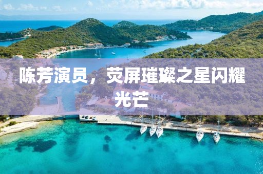 陳芳演員，熒屏璀璨之星閃耀光芒