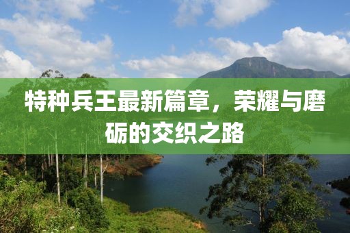 特種兵王最新篇章，榮耀與磨礪的交織之路