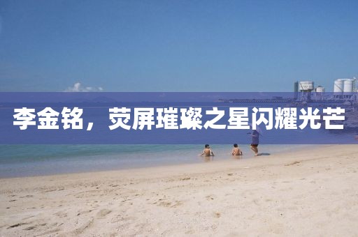 李金銘，熒屏璀璨之星閃耀光芒