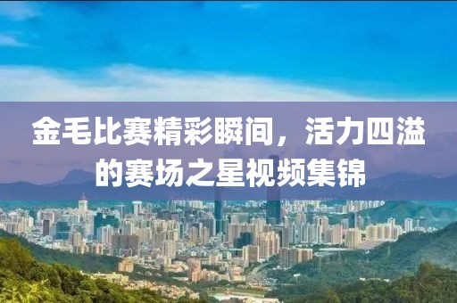金毛比賽精彩瞬間，活力四溢的賽場之星視頻集錦