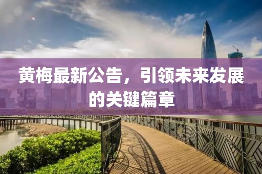 黃梅最新公告，引領(lǐng)未來發(fā)展的關(guān)鍵篇章