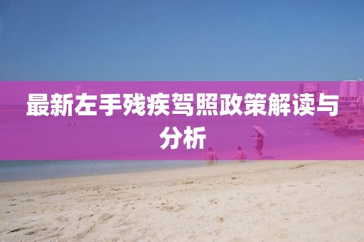最新左手殘疾駕照政策解讀與分析