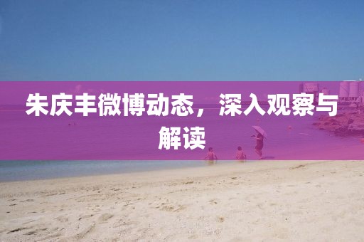 朱慶豐微博動(dòng)態(tài)，深入觀察與解讀
