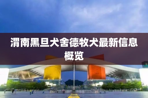 渭南黑旦犬舍德牧犬最新信息概覽