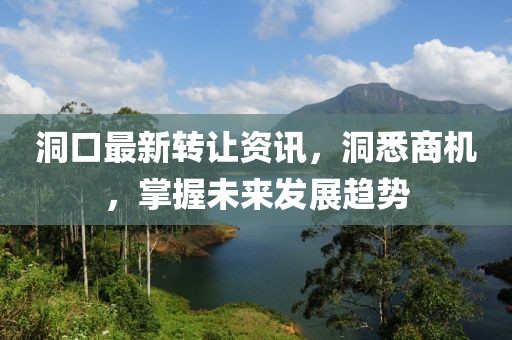 洞口最新轉(zhuǎn)讓資訊，洞悉商機(jī)，掌握未來(lái)發(fā)展趨勢(shì)