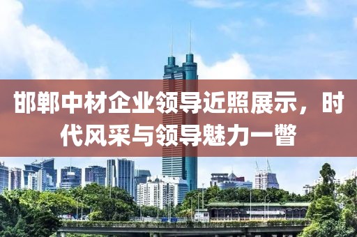 邯鄲中材企業(yè)領(lǐng)導(dǎo)近照展示，時(shí)代風(fēng)采與領(lǐng)導(dǎo)魅力一瞥