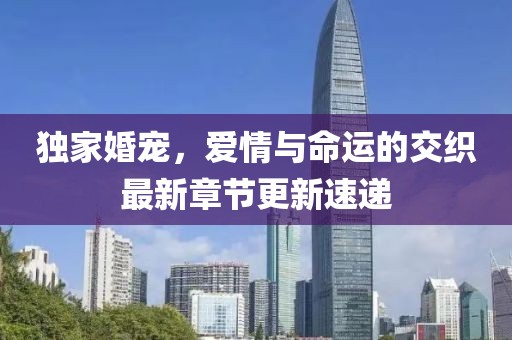 獨家婚寵，愛情與命運的交織最新章節(jié)更新速遞