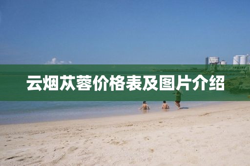 云煙蓯蓉價格表及圖片介紹