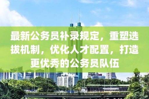最新公務(wù)員補(bǔ)錄規(guī)定，重塑選拔機(jī)制，優(yōu)化人才配置，打造更優(yōu)秀的公務(wù)員隊(duì)伍