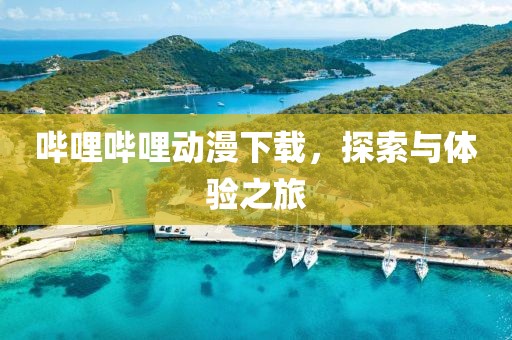 嗶哩嗶哩動(dòng)漫下載，探索與體驗(yàn)之旅