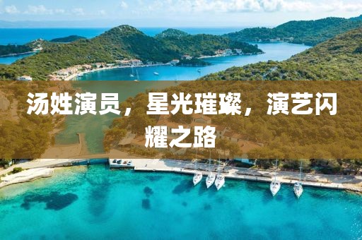 湯姓演員，星光璀璨，演藝閃耀之路