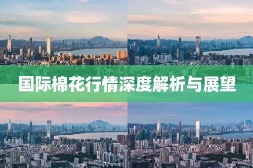 國際棉花行情深度解析與展望