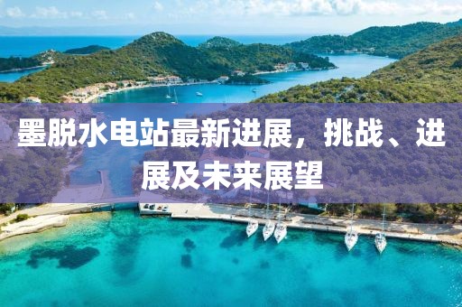 墨脫水電站最新進(jìn)展，挑戰(zhàn)、進(jìn)展及未來(lái)展望
